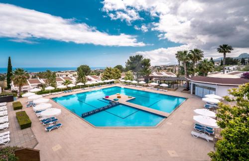 The Olive Tree Hotel - image 8