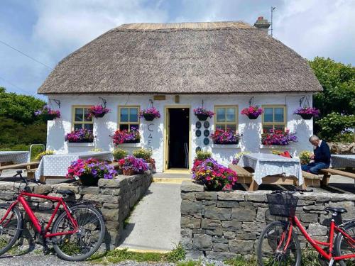 Irish Isle Oasis: Spacious 5-Bedroom Retreat