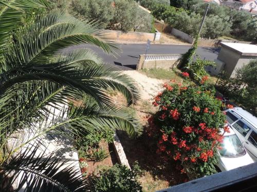 Private apartments, parking, beach distance 350 meters 2