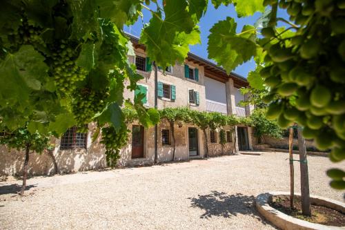 Agriturismo Locanda Case Vecie