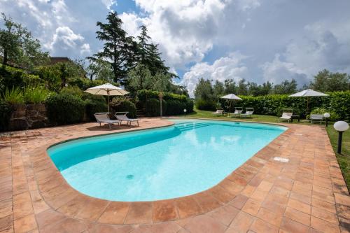 Cerchio Verde - image 5