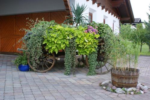 Ferienwohnung Amann Ferienwohnung Amann