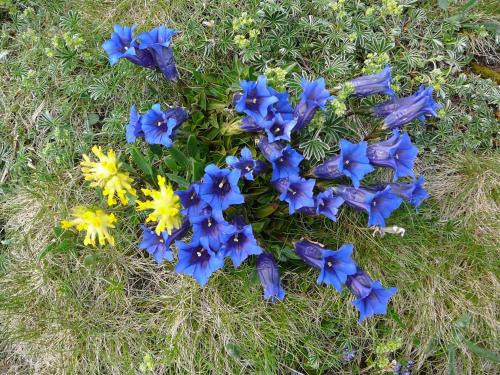 Ferienwohnung Amann Ferienwohnung Amann