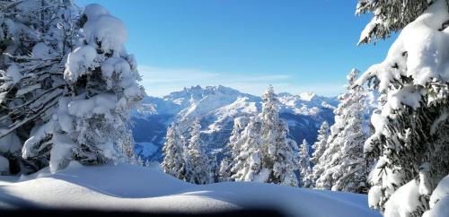 Ferienwohnung Amann Ferienwohnung Amann