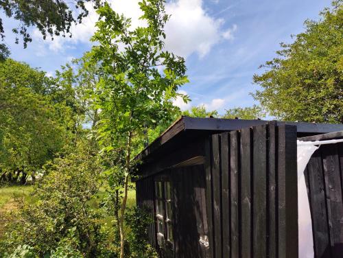 Under Canvas Bornholm