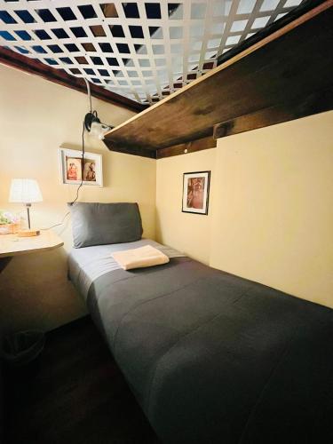 New York Spirit Retreats HOSTEL, New York (photo 4)