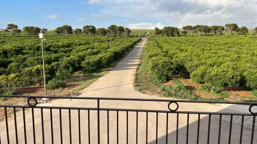 Tenuta Macconi Country Rooms