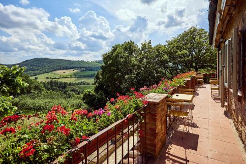 Podere Lamberto, Montepulciano (fotografie 8)