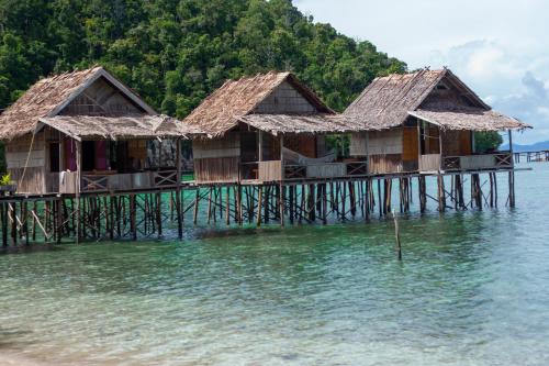 Gibran guest house Raja Ampat