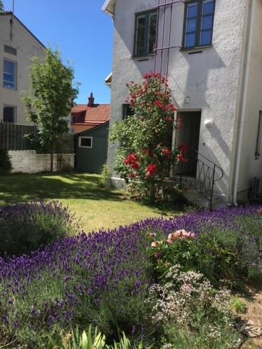 Visby city Apartments in Visby