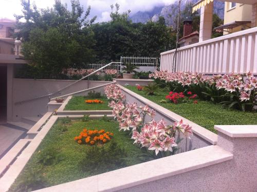 One-Bedroom Apartment with Terrace room in MG Ravlic Apartments