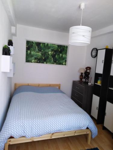 Appart du 21 - Apartment - Sainte-Marie-aux-Mines