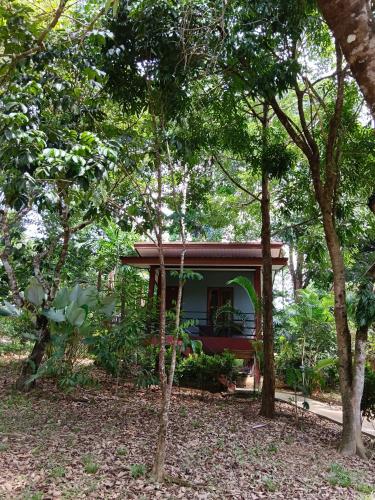 Khao Sok River & Jungle Bungalow