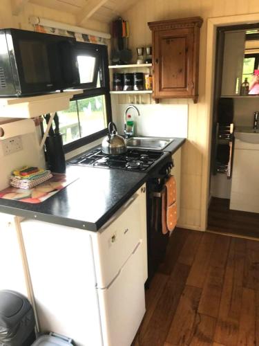 Idyllic Shepherds Hut glorious views to South Downs 'Perch'