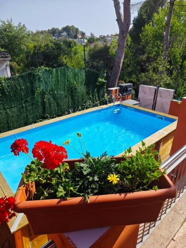 Accommodation in Sant Esteve Sesrovires