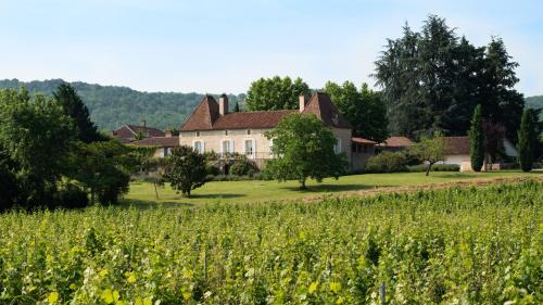 Château Gautoul - Chambre d'hôtes - Puy-l'Évêque