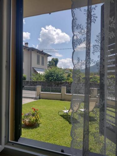 Elicriso, Barga (Foto 10)