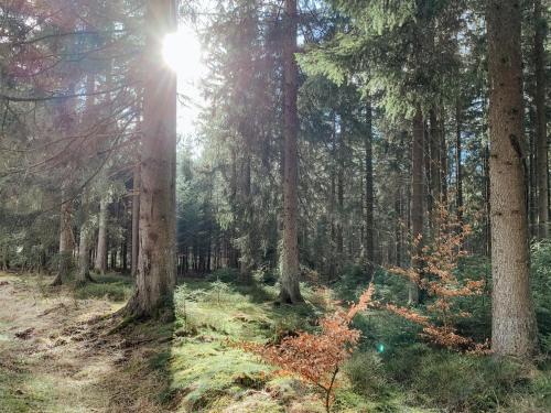 Surrounding environment, Loft 88 in Eupen
