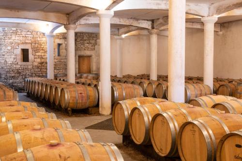 Château Gautoul - 전망