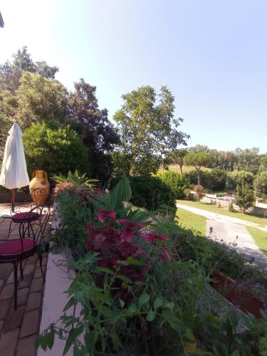 The Olive Grove Roma Guest House, Rom