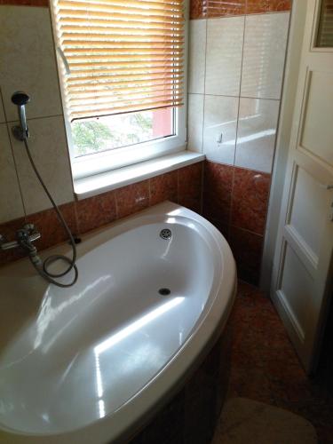 Bathroom, Apartment Sova in Vitkovice