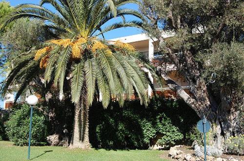 Giardino, Escale au Val de la Mer in Laval