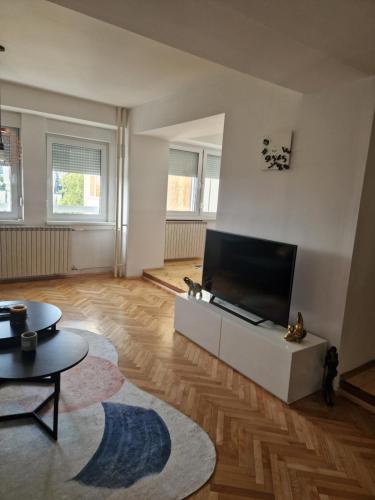 Comfy center apartment, Skopje (foto 4)