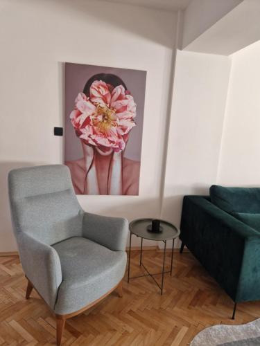 Comfy center apartment, Skopje (foto 6)