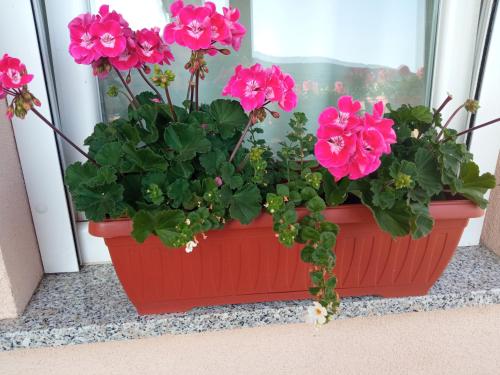  Apartman Vidovic in Korenica