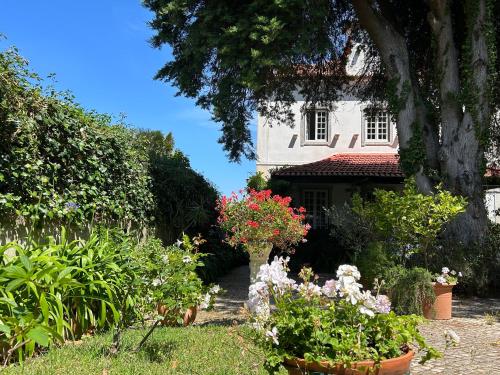  Villa Branca Jacinta, Pension in Sintra bei Santa Cruz