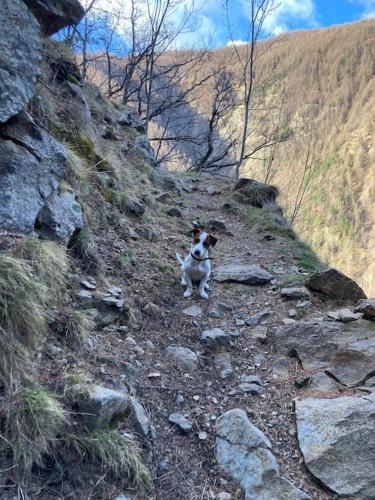 Rustikales Haus im Naturparadies Rustikales Haus im Naturparadies