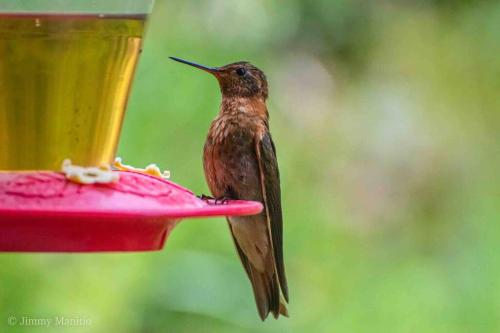 Hermoso departamento en el corazón de Papallacta (Hermoso departamento en el corazon de Papallacta) in Papallacta