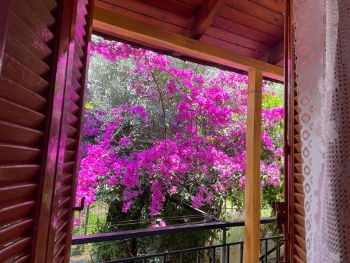 Ideal Cottage Holidays-Ιδανικες Εξοχικες Διακοπες in Agii Apostoli