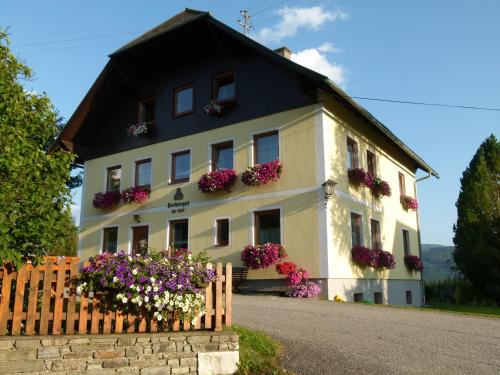 Ferienwohnungen Bachergut - Apartment - Mariapfarr