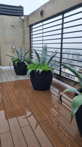 Zoe ideal viaje en pareja o trabajo