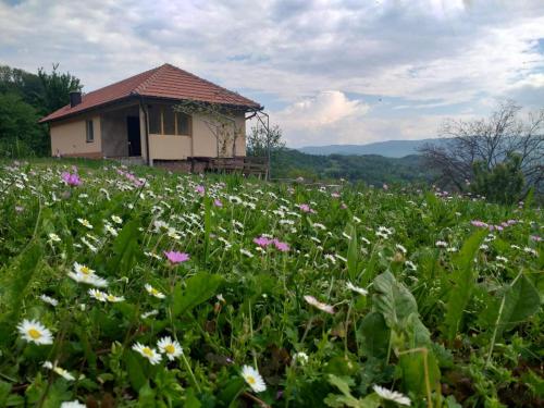 B&B Bajina Bašta - Etno House Jakic - Bed and Breakfast Bajina Bašta