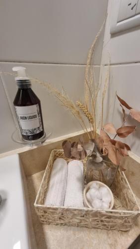 Zoe ideal viaje en pareja o trabajo