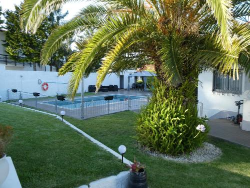 Casa do Cabedelo, Viana do Castelo (fotografie 7)