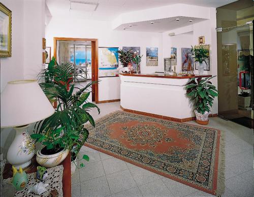Hotel Dinarica 3