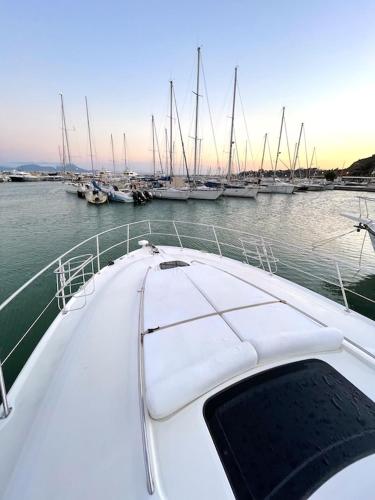 #1 SPEED BOAT, Sidi Bou Said