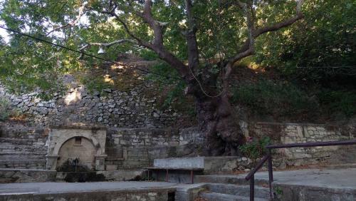 The Garden House, Sitia