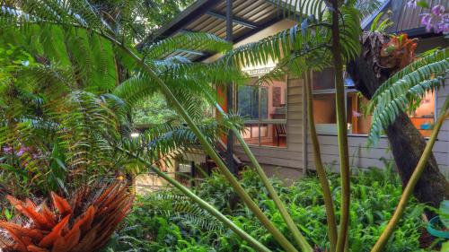 . Chambers Wildlife Rainforest Lodges