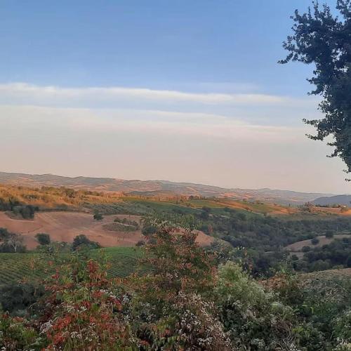 Agriturismo Salaiolo 176 3