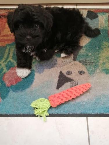 Les volets rouges in Saint-Jean-de-Braye