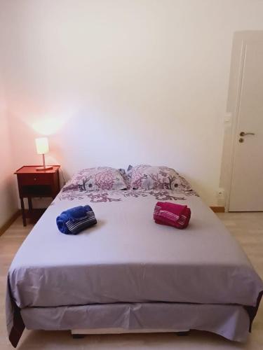 Chambre à louer 15mnn de Grenoble-salle de bain privée-WIFI gratuit