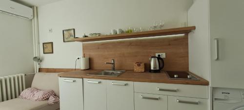 One-Bedroom Apartment image 5