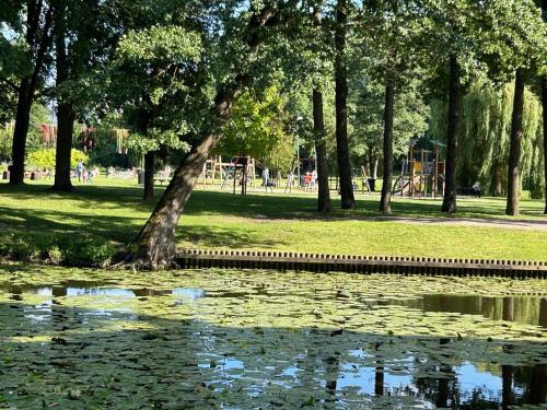 Omulīgs dzīvoklītis Āgenskalnā, Riga (foto 7)