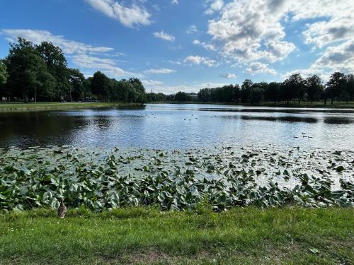 Omulīgs dzīvoklītis Āgenskalnā, Riga (foto 4)