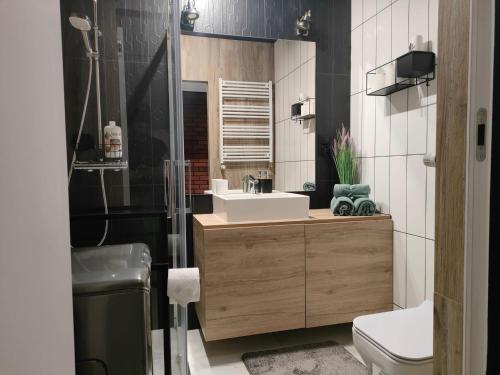 Superior Laguna Beskidow Pilot's Studio! Sauna&Gym! Air Condition!