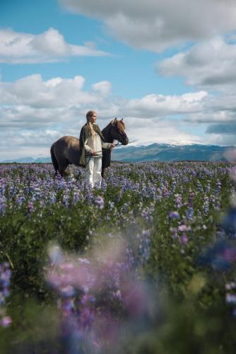 Surrounding environment, Sleeping with the Horses in Budarholshverfi